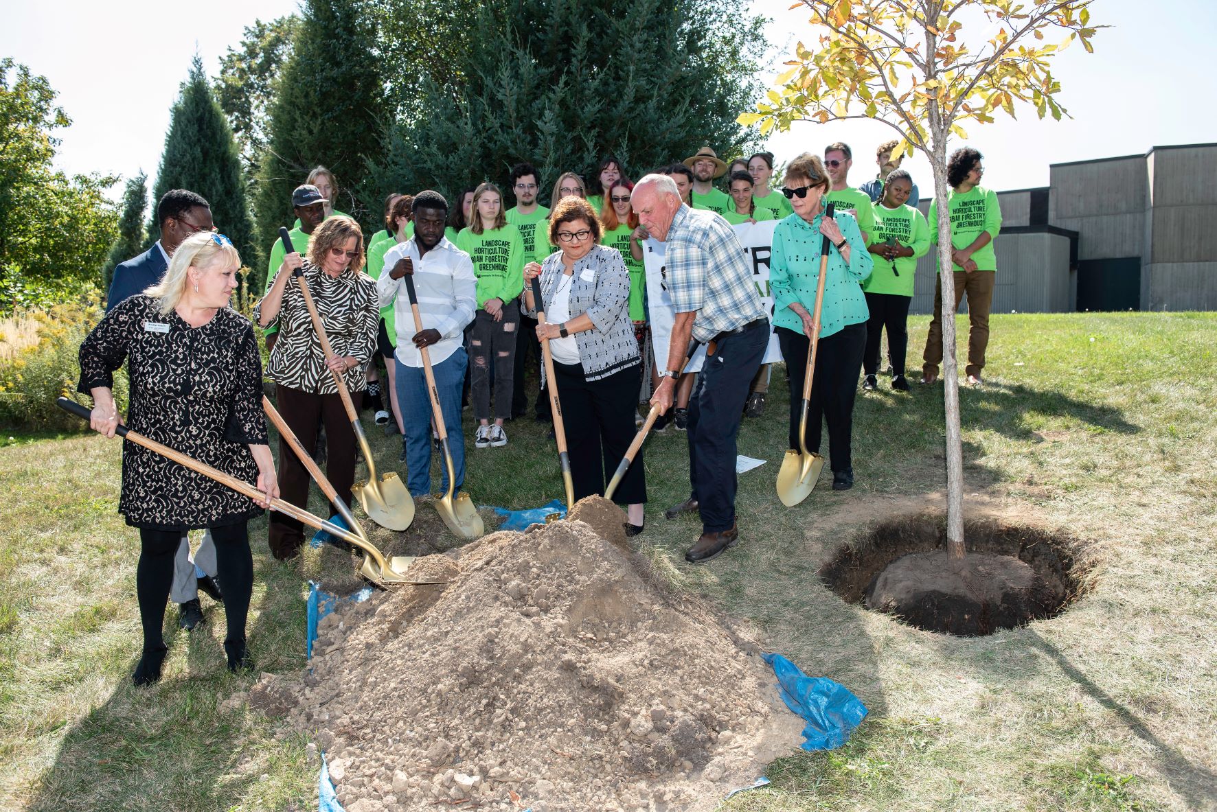 Tree planting